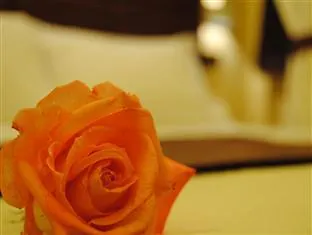 Bed & Breakfast Eurohome 3*